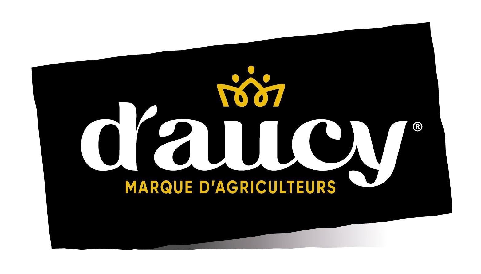 Daucy
